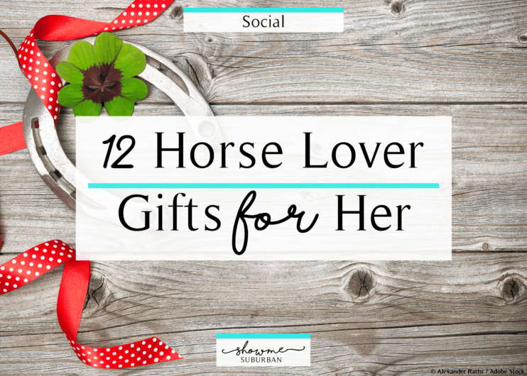 12 Popular Yet Simple Horse Lover Gifts For Her - ShowMe Suburban